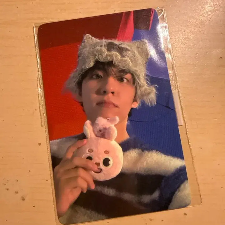 [BUNJANG] DAY6 Wonpil Photocard / 데이식스 원필 포카