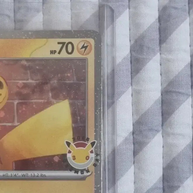 [BUNJANG] Pokemon 30th Anniversary 2026 Pokemon Day Collection Pikachu / 북미 30주년 2026 포켓몬데이 컬렉션 피카츄