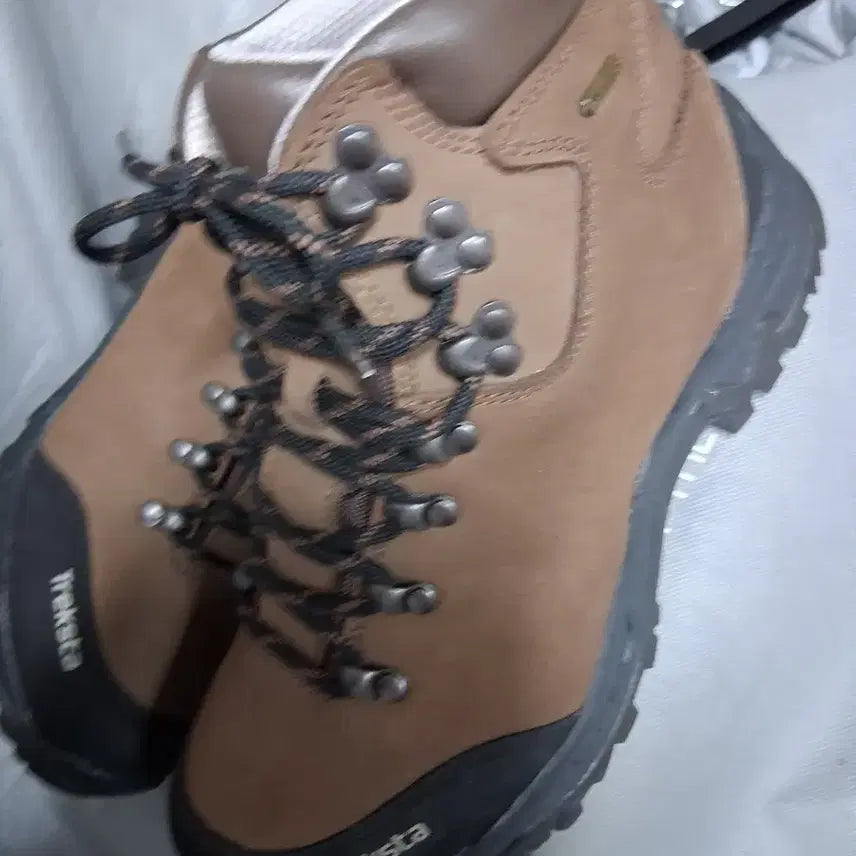 [BUNJANG] Treksta Gore-Tex Hiking Boots 250mm / 등산화250 트렉스타고어텍스 1회실착