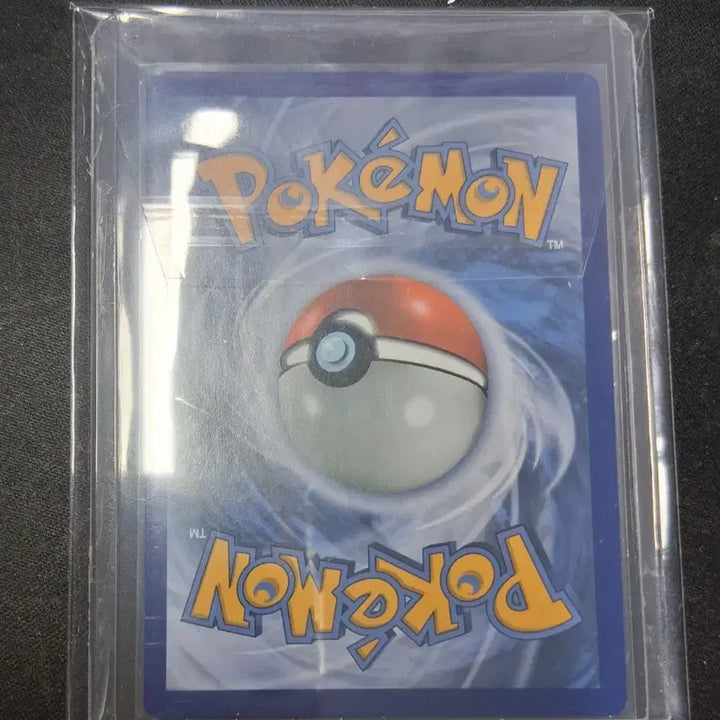 [BUNJANG] Pokemon M Pidgeotto EX Card / 북미 포켓몬 카드 M피죤투EX
