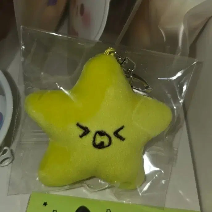 [SOLD OUT] 해찬 햇가사리 불가사리 키링 인형 엔시티 nct 127