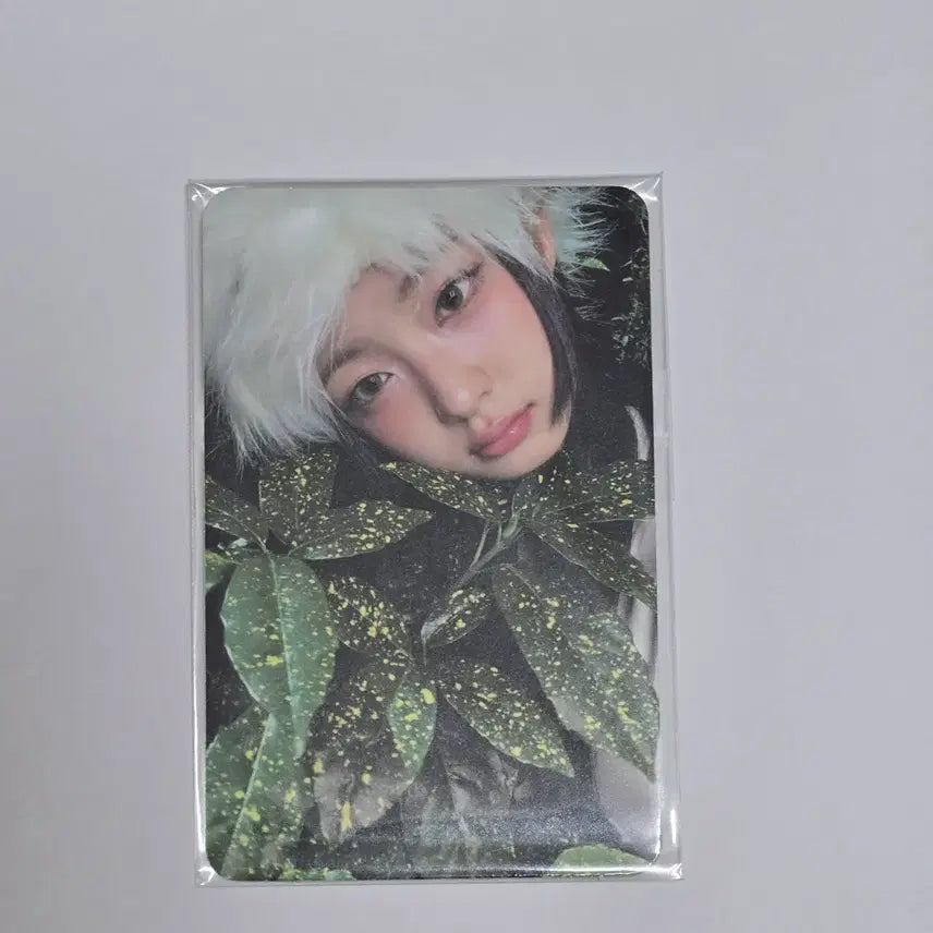 [BUNJANG] Kiiikiii Uncut Gem Photocard / 키키 uncut gem 키야 공방 포카 kiiikiii