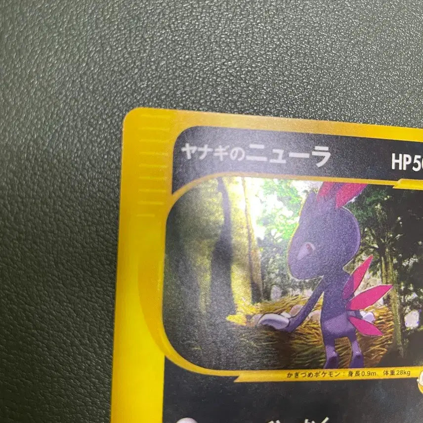 [BUNJANG] Pokemon Japanese Vs 1st ed. Price&