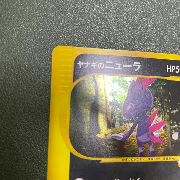 [BUNJANG] Pokemon Japanese Vs 1st ed. Price&