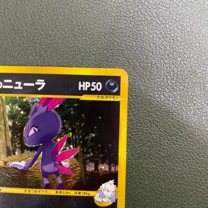 [BUNJANG] Pokemon Japanese Vs 1st ed. Price&