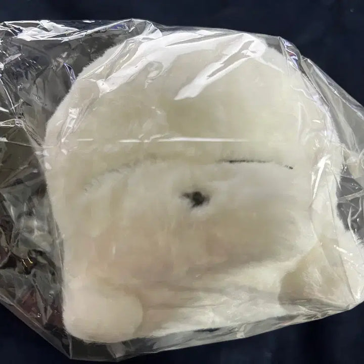 [BUNJANG] Mashimaro Yuppi Tokki Plush Doll / 마시마로 엽기토끼 인형 팝니다.