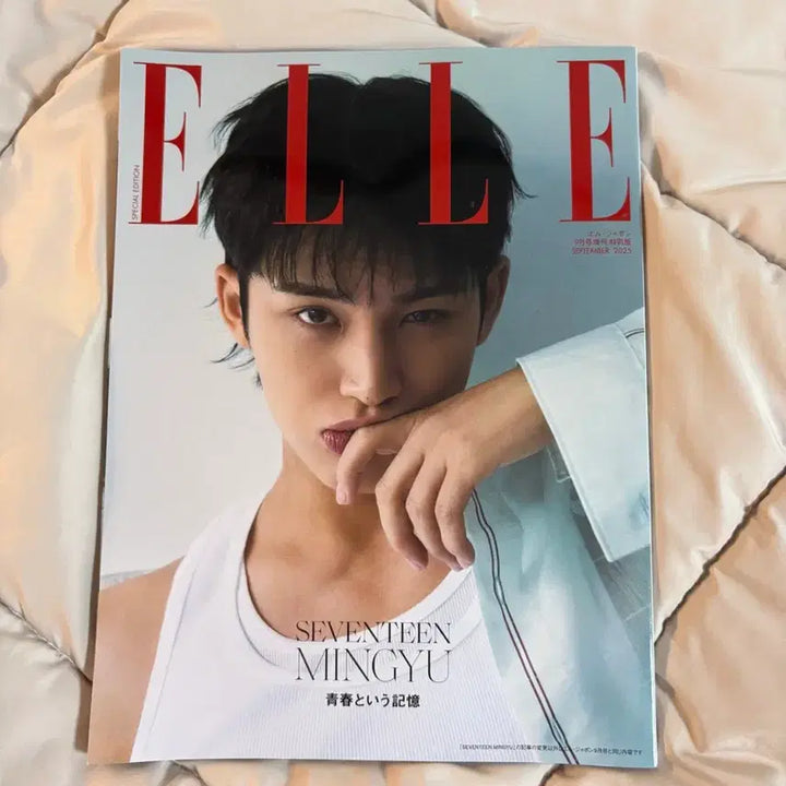 [BUNJANG] Seventeen Mingyu Magazine / 세븐틴 김민규 잡지