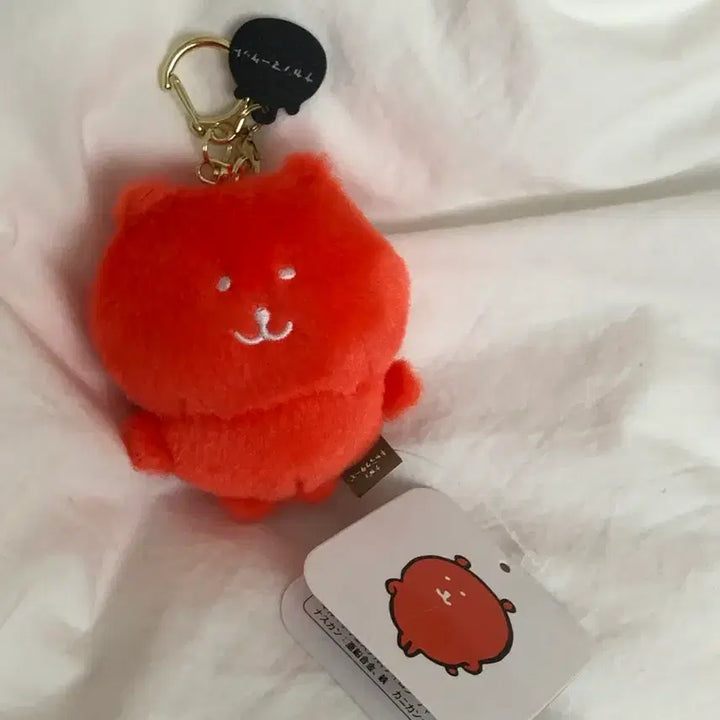 [BUNJANG] Nagano Color Joke Bear / 나가노 컬러 농담곰