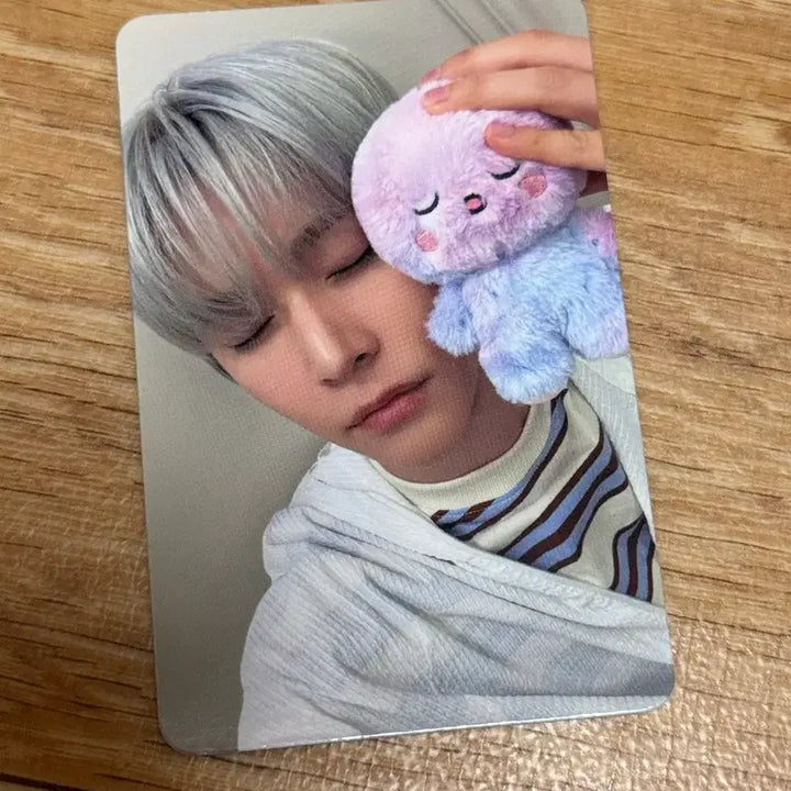 [SOLD OUT] 라이즈 앤톤 미드나잇 멍룡이 B버전 팝니다