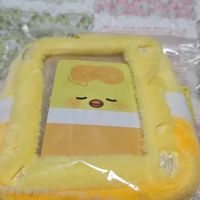 [SOLD OUT] 뽁아리 이불포카 홀더,포카포함 팔아요