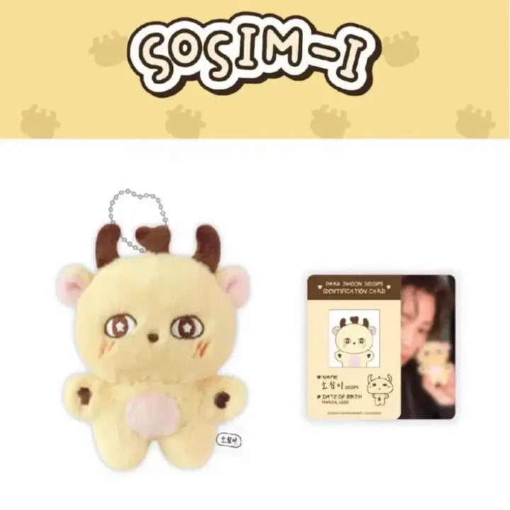 [SOLD OUT] 박지훈 소심이 1차 판매 재양도 (수수료 포함)