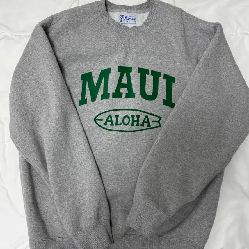 [BUNJANG] Big Wave Collective Sweatshirt L Size / 빅웨이브컬렉티브 맨투맨 L사이즈