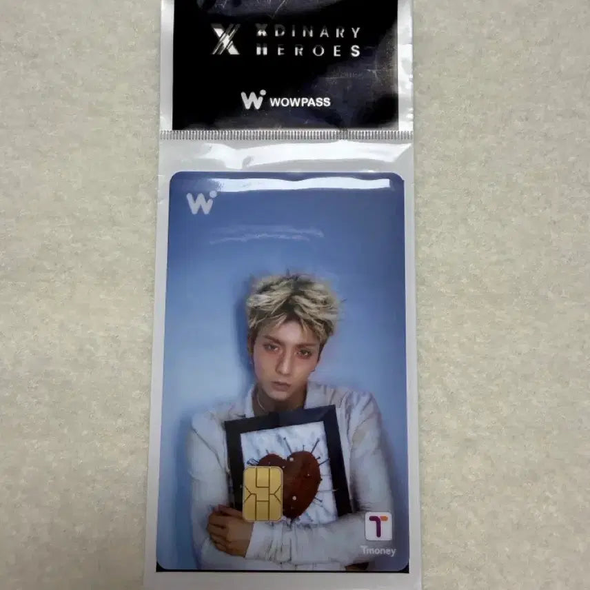 [BUNJANG] Xdinary Heroes Odd Wowpass Transportation Card / 엑디즈 오드 와우패스 WOWPASS 교통카드