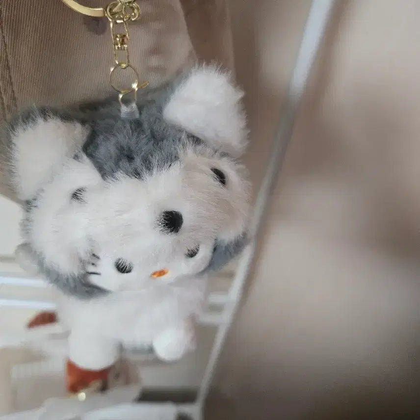[BUNJANG] Kitty Raccoon &amp; Husky Keychain / 너구리 키티,허스키 키티 키링
