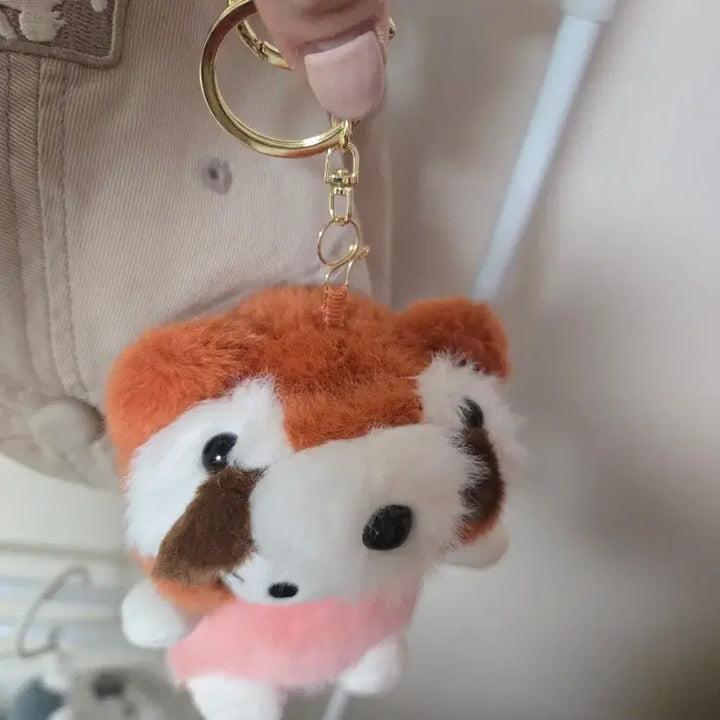 [BUNJANG] Kitty Raccoon &amp; Husky Keychain / 너구리 키티,허스키 키티 키링