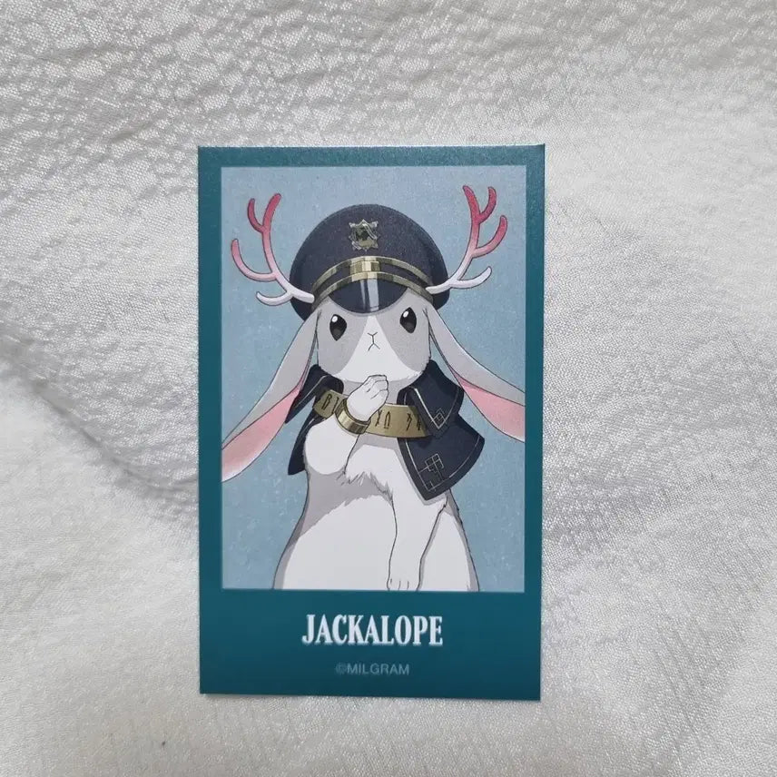[BUNJANG] Milgram Jackalope Illustration Card / 밀그램 잭카로프 일러스트 카드 판매합니다.