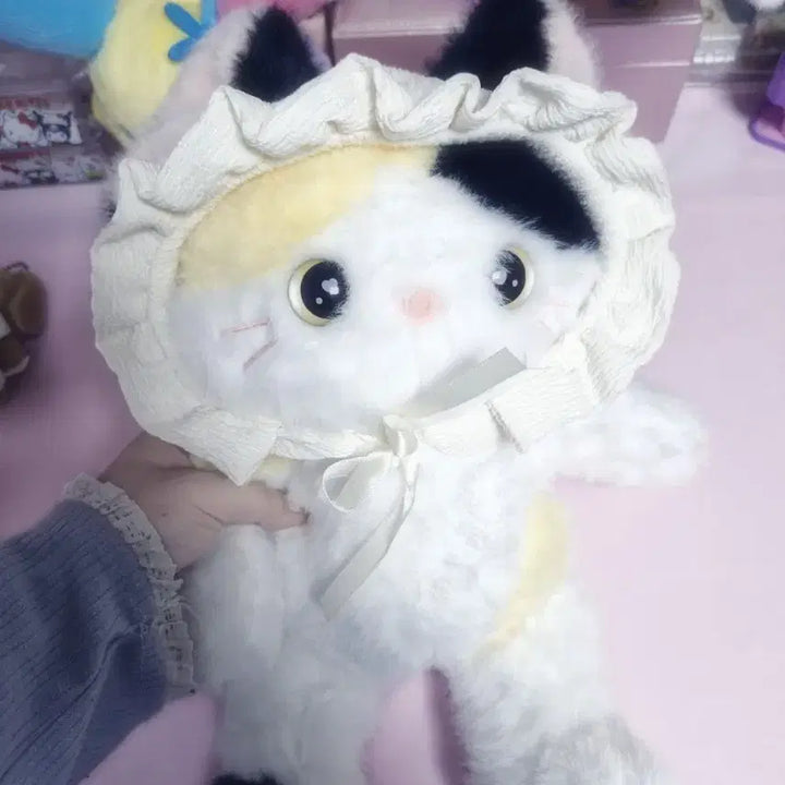 [BUNJANG] Bonnet Cat Plush Doll / 보닛 고양이 애착인형 판매해요!