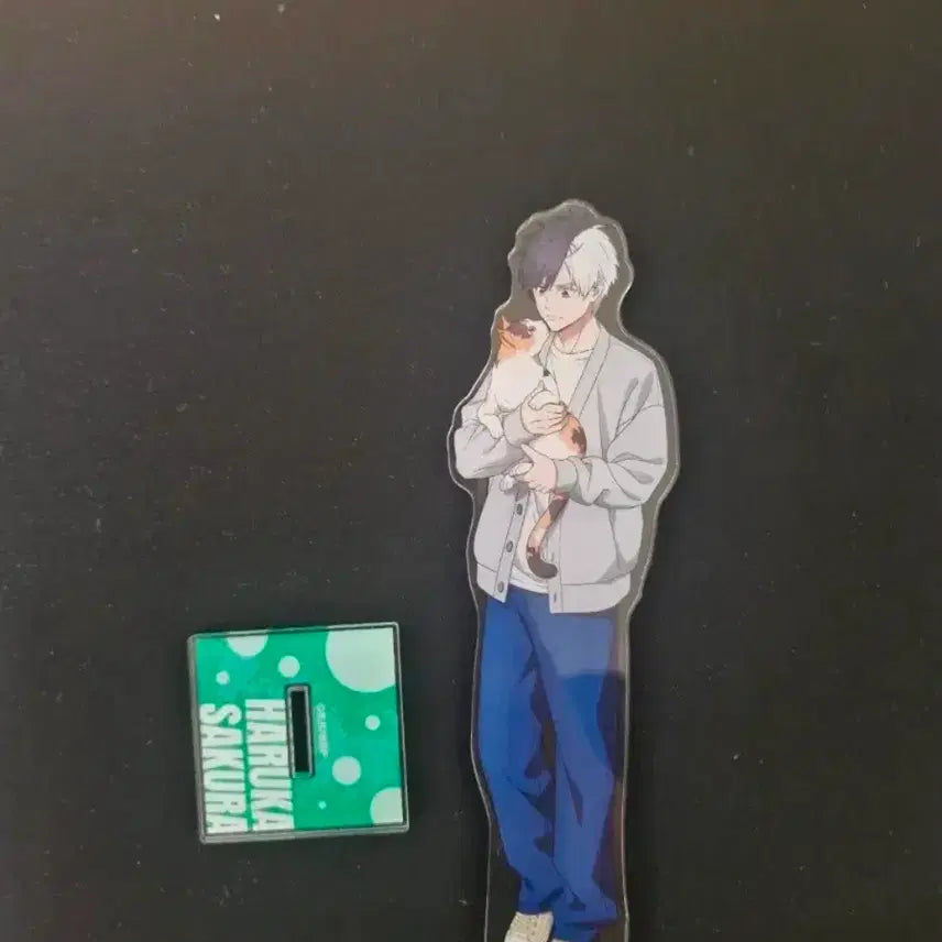 [BUNJANG] Wind Breaker Haruka Sakura Maneki Neko Acrylic Stand / 윈브레 윈드브레이커 사쿠라 하루카 마네키네코 아크릴