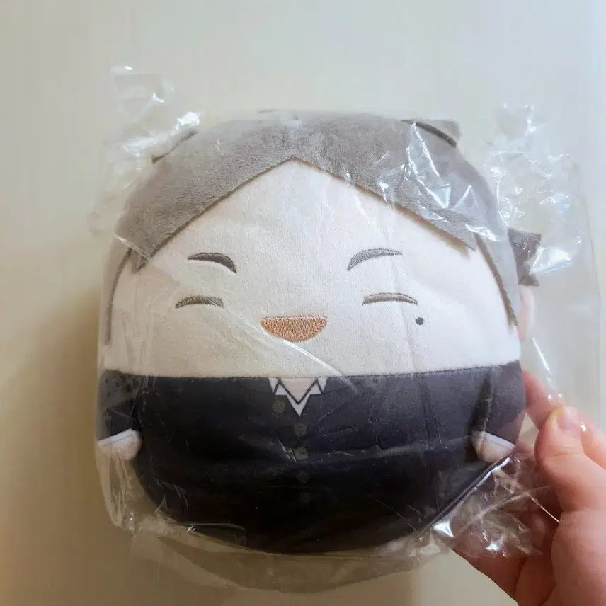 [BUNJANG] Haikyu!! Karasuno Sugawara Fuwa Kororin M Size Unsealed Plush / 하이큐!! 카라스노 스가와라 후와코로링 m사이즈 미개봉 신품