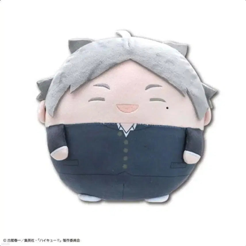 [BUNJANG] Haikyu!! Karasuno Sugawara Fuwa Kororin M Size Unsealed Plush / 하이큐!! 카라스노 스가와라 후와코로링 m사이즈 미개봉 신품
