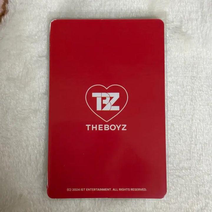 [BUNJANG] THE BOYZ Sunwoo Jener2 Doll Photocard Holder + Photocard / 더보이즈 선우 제너2 인형 포카홀더+포카