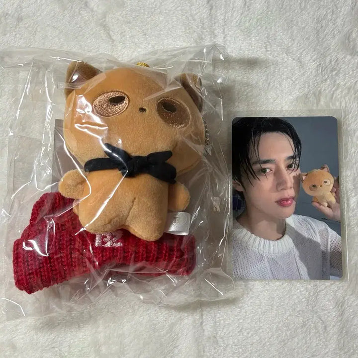 [BUNJANG] The Boyz Sunwoo Gen-2 Doll + Photocard / 더보이즈 선우 제너2 인형+포카