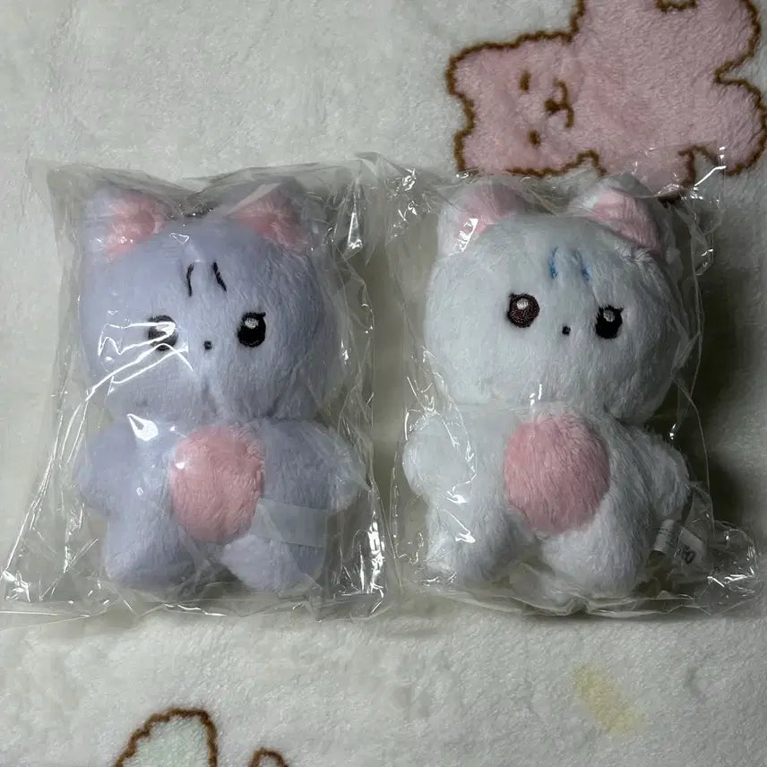 [BUNJANG] The Boyz New Chani Nyang Plush Doll / 더보이즈 뉴 인형 차니냥 짜니냥 미개봉