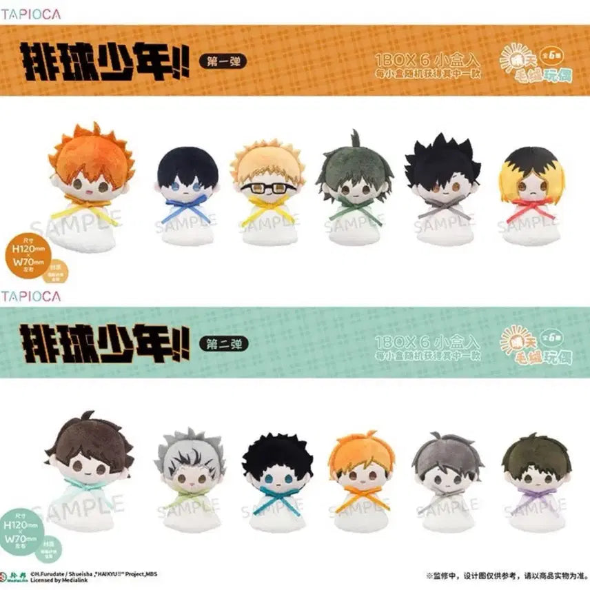 [BUNJANG] Haikyu Sunny Day Kuroo Plush Doll / 하이큐굿즈 하이큐 인형 맑은날 써니데이 쿠로오