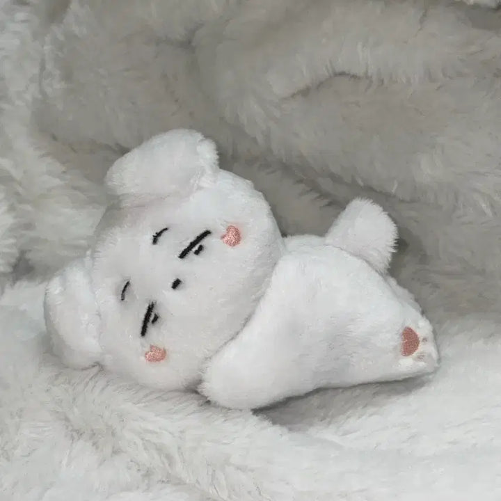 [BUNJANG] BTOB Changsub Unofficial Kkulkkulsub Doll / 비투비 창섭 비공식인형 쿨쿨섭