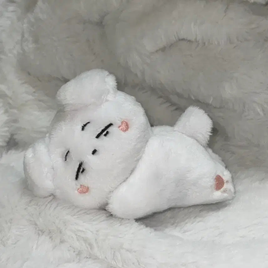 [BUNJANG] BTOB Changsub Unofficial Kkulkkulsub Doll / 비투비 창섭 비공식인형 쿨쿨섭