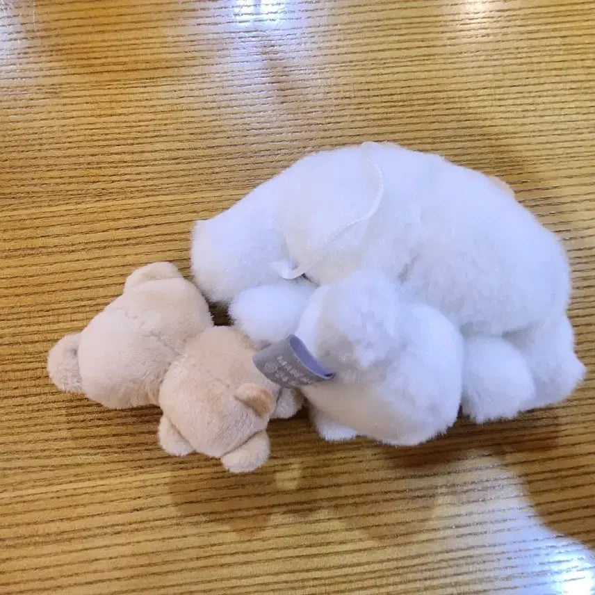 [BUNJANG] Sanrio Cinnamoroll Teddy Bear Doll Set / 산리오 시나모롤 곰돌이 인형 세트
