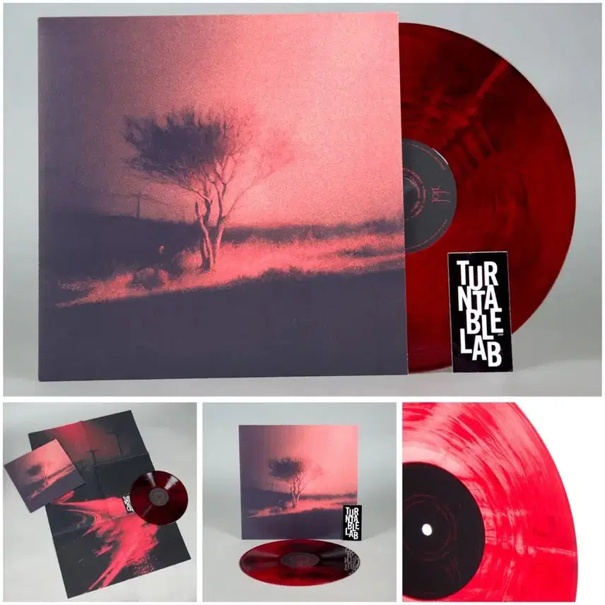 [BUNJANG] Joji Piss In The Wind Lava Flow Exclusive Limited Edition LP / Joji piss in the wind lava flow 한정반Lp