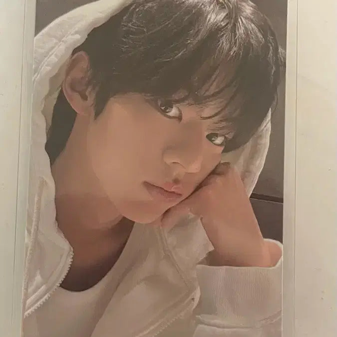 [BUNJANG] TWS Dohoon Weverse Try With Us Photocard / 투어스 도훈 위버스 컴백 라이브 포카 팝니다