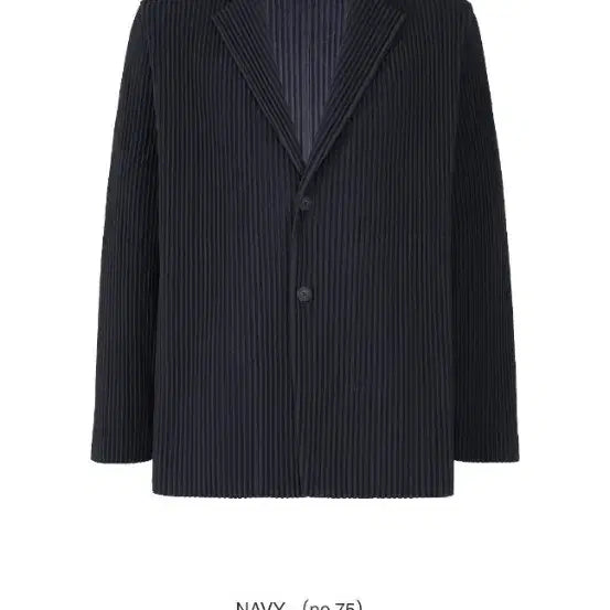 [BUNJANG] Homme Plisse Basic Jacket Black (Size 4) / 옴므 플리쎄 베이직 쟈켓 블랙 4사이즈 거의 새것 컨디션