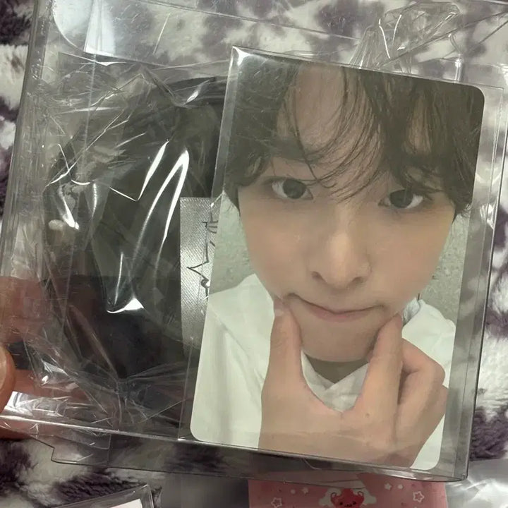 [BUNJANG] WISHDOLL Kuri Doll Set / 위시돌 쿠리 세트