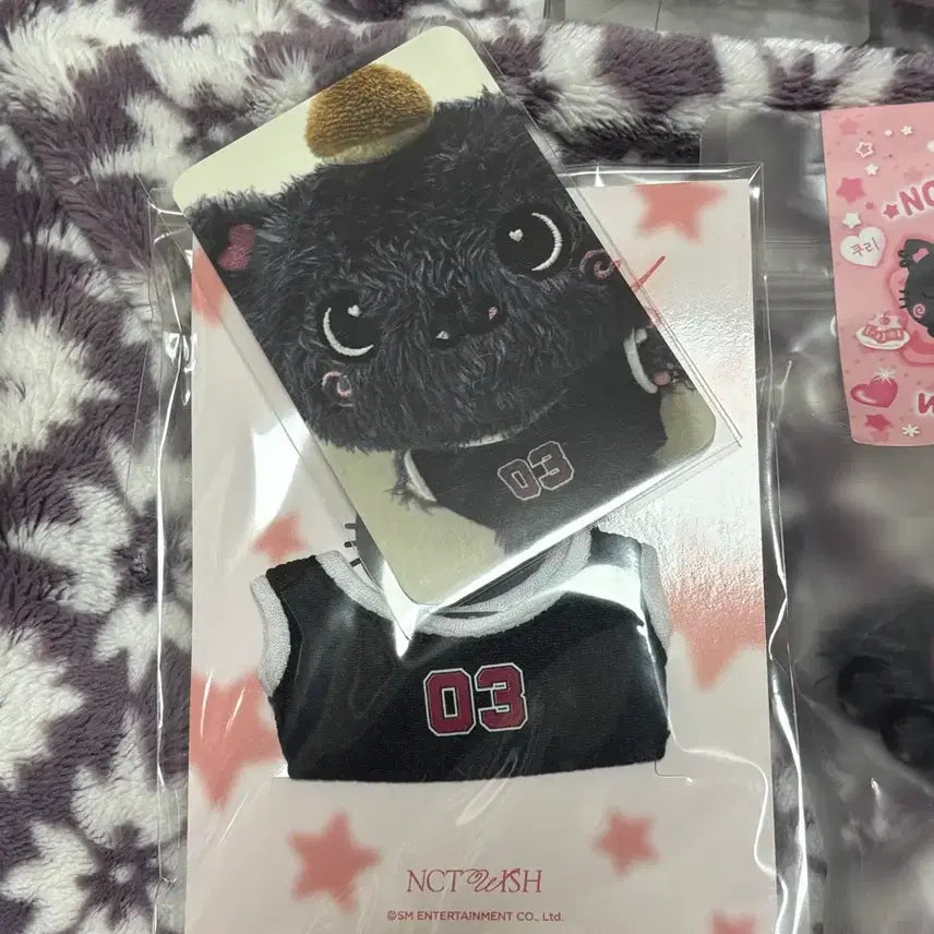 [BUNJANG] WISHDOLL Kuri Doll Set / 위시돌 쿠리 세트