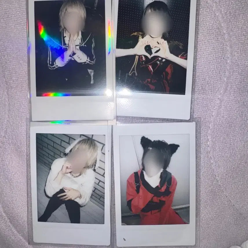 [BUNJANG] Yumekui Neon Tsubaki Cheki Bundle Set / 유메쿠이네온 크로스피아 츠바키 체키 일괄