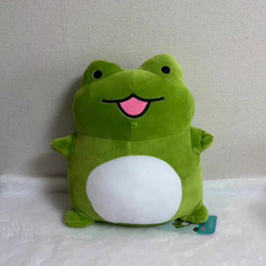 [BUNJANG] Kkaeguk Kkaeguk Frog Medium Plush Doll / 깨꾹이 개꾹이 개구리 중형 인형