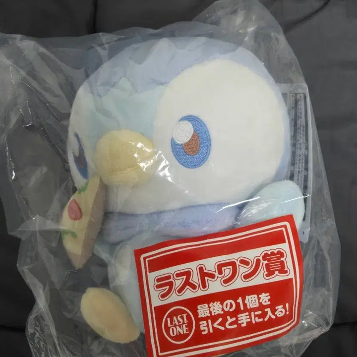 [BUNJANG] Pokemon Piplup Last One Prize Plush / 포켓몬 펭도리 인형 라스트원상