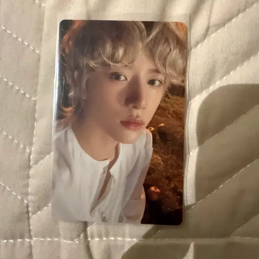 [BUNJANG] TXT Beomgyu Photocard / 투바투 범규 포카