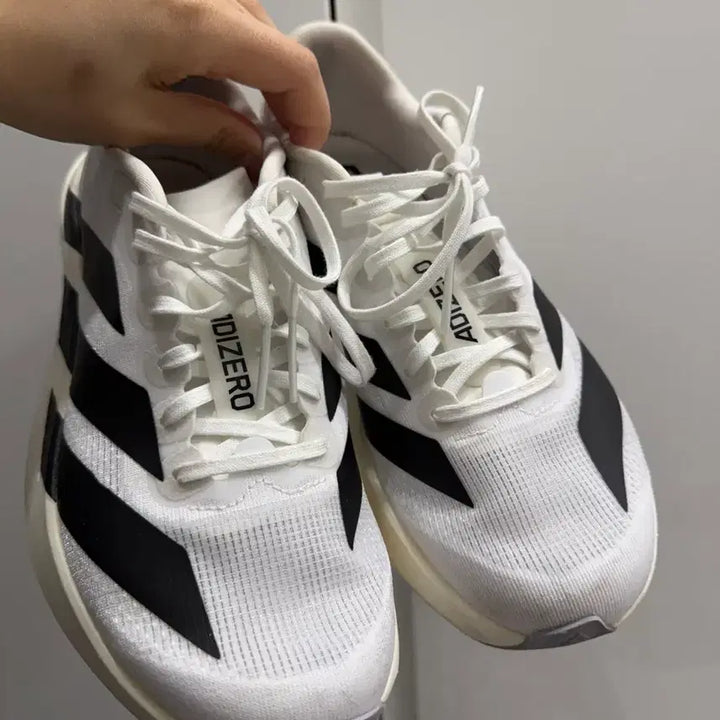 [BUNJANG] Adidas Evo SL Running Shoes / 아디다스 에보sl 235 상태좋음