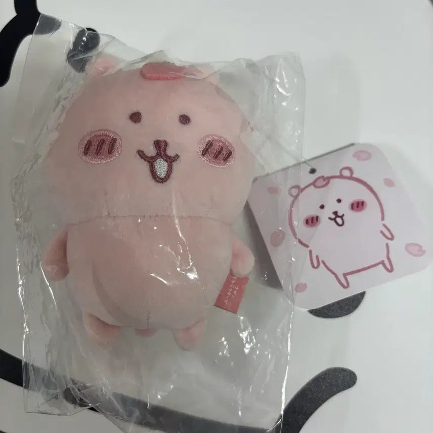 [SOLD OUT] 벚꽃 농담곰 판매합니다 미개봉