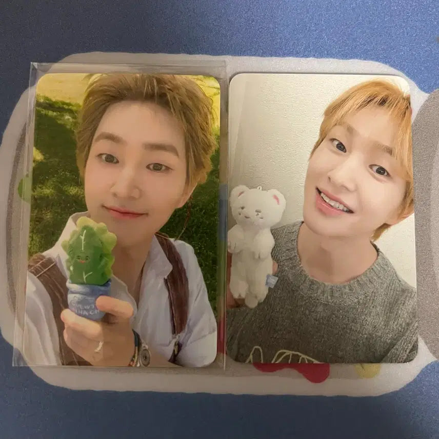 [BUNJANG] Onew Percent Goods Photocard / 온유 포카 퍼센트 굿즈 포카
