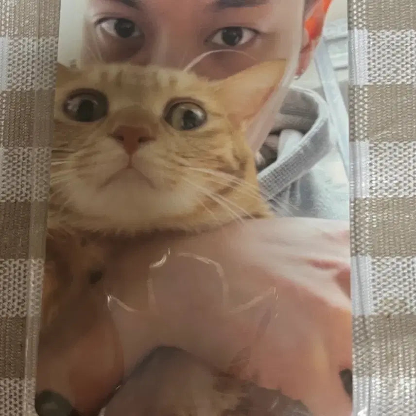 [SOLD OUT] 쇼미더머니 제네더질라 포토카드