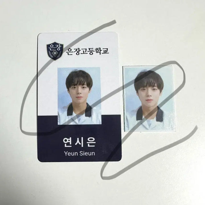 [BUNJANG] Park Jihoon Weak Hero Student ID Photocard Bundle / 약한영웅 배우 박지훈 학생증 포카 증사 증명사진 비공굿 일괄 양도