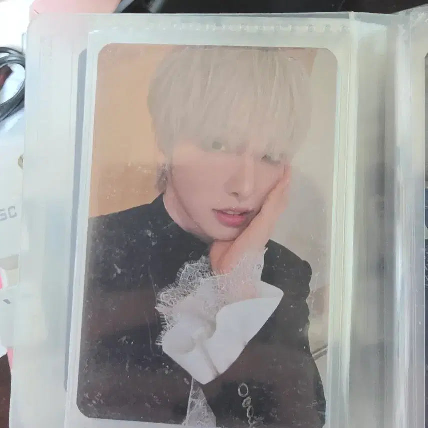 [BUNJANG] ONEUS Seoho POB Photocard / 원어스 서호 공방포카  판매