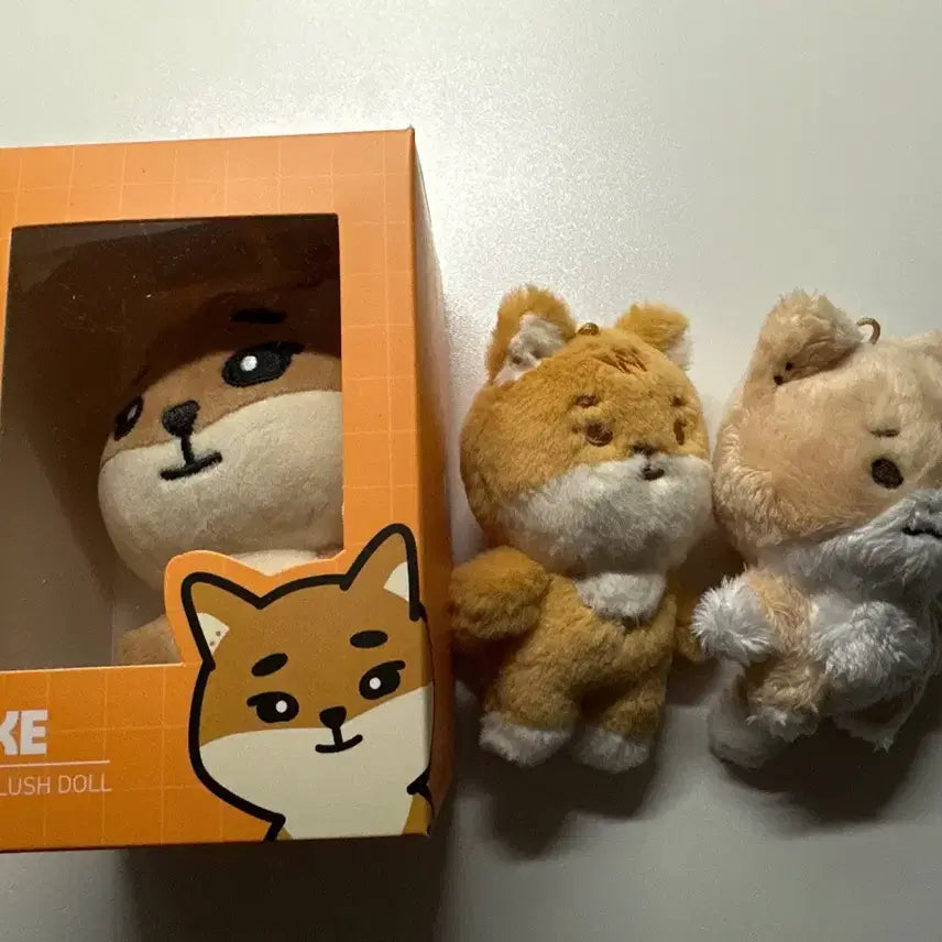 [SOLD OUT] 원가이하))데이식스 영케이 데니멀즈 24 케 쁘띠멀즈 깡냥이 일괄