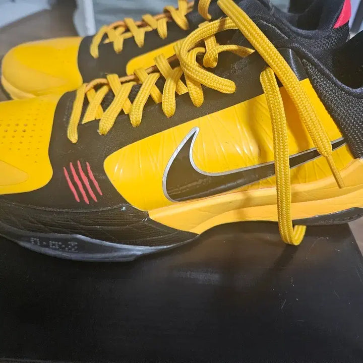 [BUNJANG] Nike Kobe 5 Protro Bruce Lee Sneakers / 나이키 코비 5 프로트로 브루스리