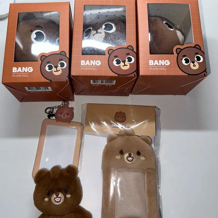 [BUNJANG] Day6 Sungjin Denimalz Room Photocard Holder Bundle Set / 급처)) 데이식스 성진 데니멀즈 구버전 방 포카홀더
