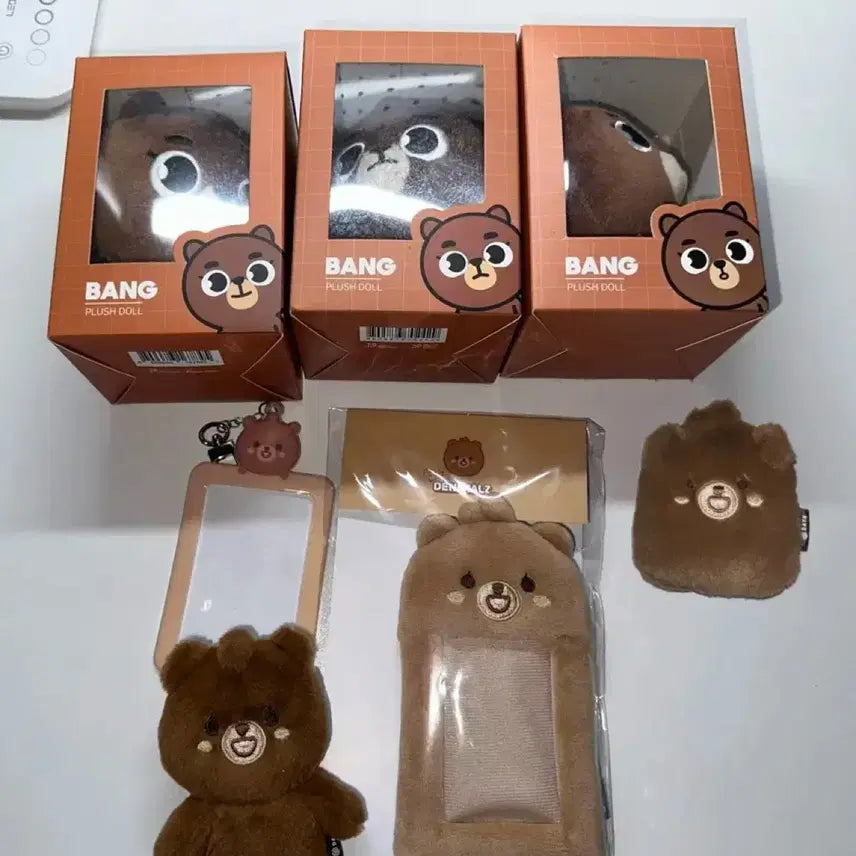 [BUNJANG] Day6 Sungjin Denimalz Room Photocard Holder Bundle Set / 급처)) 데이식스 성진 데니멀즈 구버전 방 포카홀더